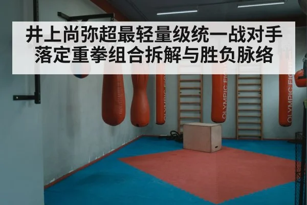 井上尚弥超最轻量级统一战对手落定重拳组合拆解与胜负脉络（www.hth.com）